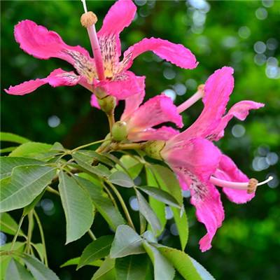 beat365手机版客户端