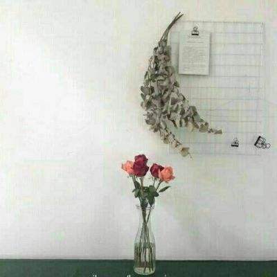 澳门王中王100%的资料