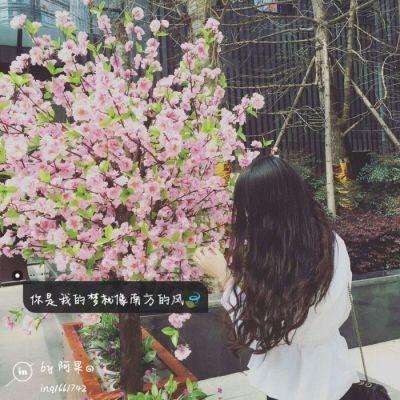 leyu·乐鱼体育app下载截图